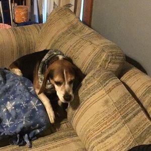 Meet your Posher, Alexie